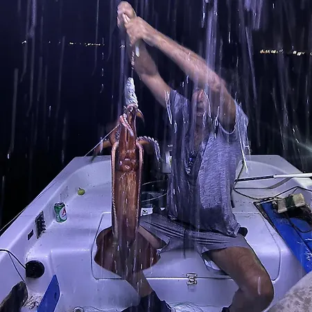 Nikos Meltemi Family Penthouse * Archangelos (Rhodes)