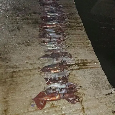 Nikos Meltemi Family Penthouse Apartment *