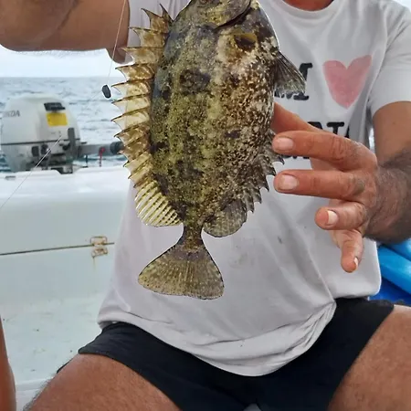 Nikos Meltemi Family Penthouse Apartment