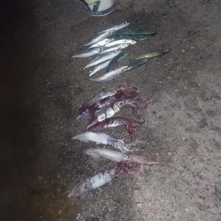 Appartement Nikos Meltemi Family Penthouse *