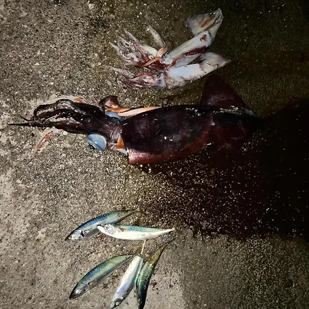 Apartment Nikos Meltemi Family Penthouse Archangelos (Rhodes)