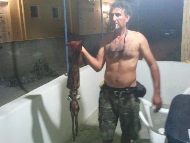 Apartamento Nikos Meltemi Family Penthouse