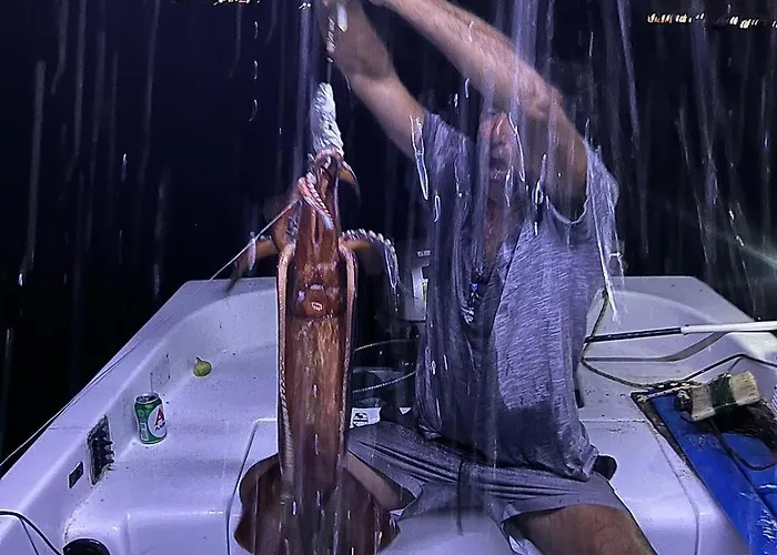 Nikos Meltemi Family Penthouse * Archangelos (Rhodes)