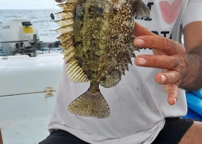 Nikos Meltemi Family Penthouse Appartement