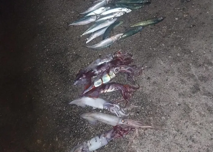 Appartement Nikos Meltemi Family Penthouse *