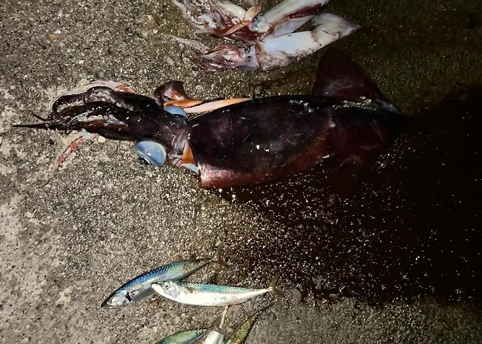 Apartamento Nikos Meltemi Family Penthouse Archangelos (Rhodes)