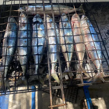 Nikos Meltemi Family Penthouse Apartmán *